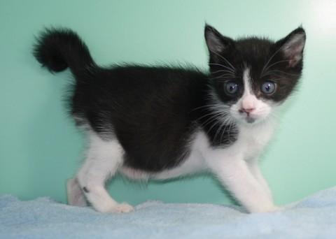 離乳が始まっています