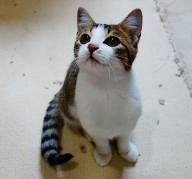 ★家族を探してる、なつおです★