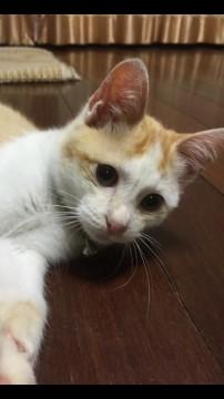 ヤンチャな男の子！