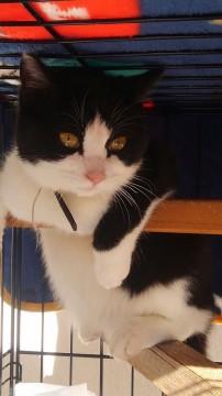 抱っこをせがむ超甘ったれ君