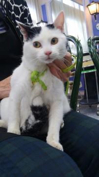 コロコロして甘えっ子くん