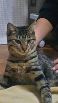 めちゃめちゃ甘えたさんです。