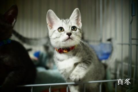 アイライン美人