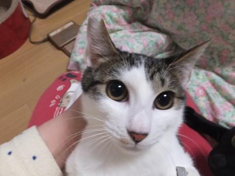 甘えん坊の男の子