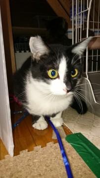 いつだって抱っこが好き。.:*: