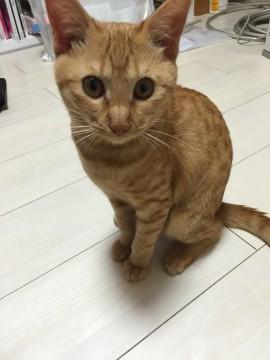 人見知り一切ナシ！明るい仔です