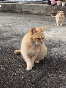 寒さに耐えて生きています