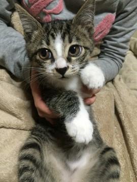優しい飼い主さんへ