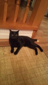 甘えんぼうで不器用な男の子