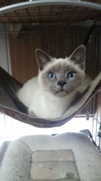 ユニークお顔の可愛い女の子