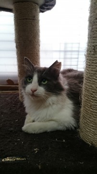 母性愛いっぱいな子です( v^-゜)♪