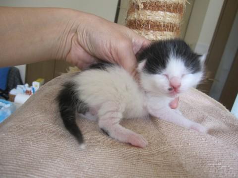 ホクロがセクシー　授乳中