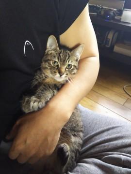 元気一杯です。