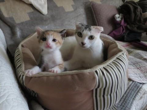 ４月７日生まれ