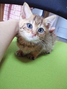 小っちゃいけどしっかり者！