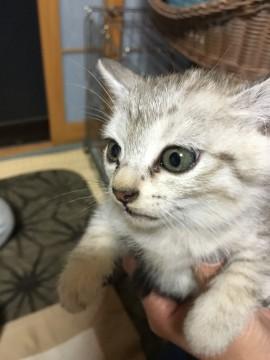 男前