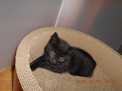 キラキラしてない方の女子。（性格は◎）