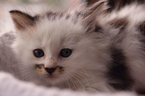 個性的なお顔で性格も良い男の子