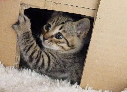 傍に行くだけで　ぐるぐるごきげん