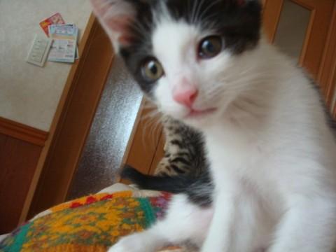 ◎４/１８生まれ　かわいい男の子◎
