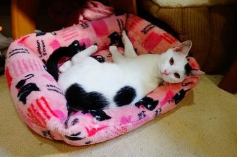 ★綺麗な顔の男の子ゆきおちゃん★