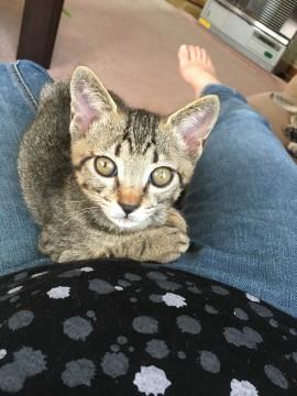 生後2カ月くらいの男の子