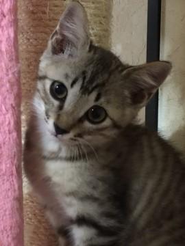 大雨の中保護しました