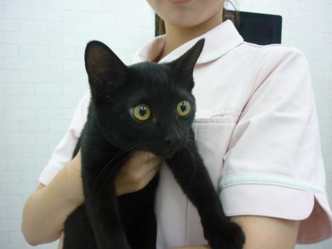 元気いっぱい４兄妹③