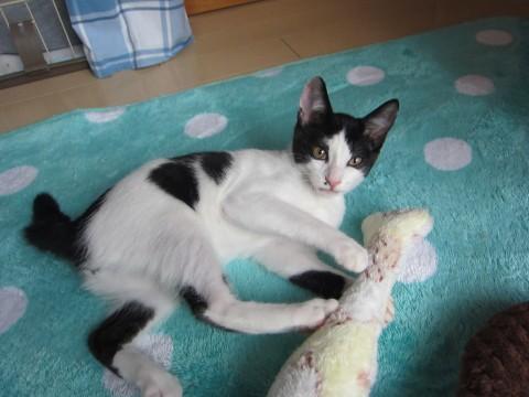 個性的な白黒くん♪