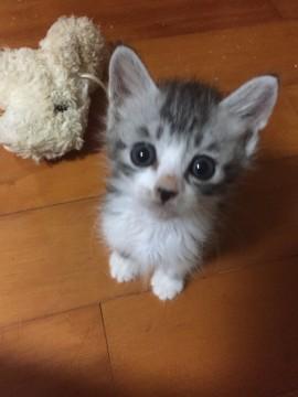 おてんばな可愛い子ちゃん