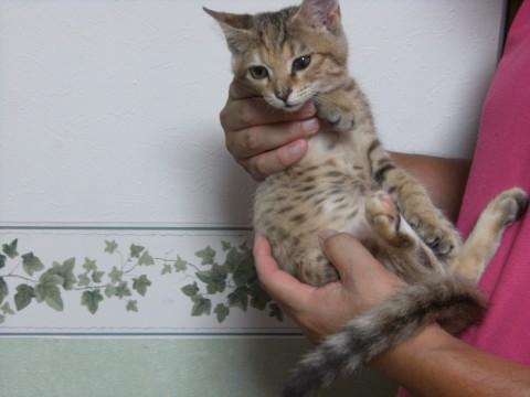 ちょっとビビってます