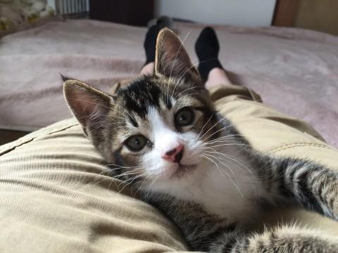 のんびり＆おっとり王子