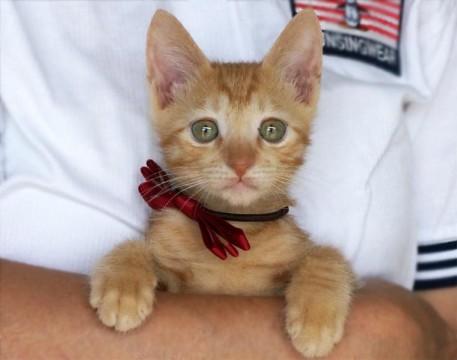 お転婆ニモちゃん【動画付】