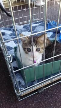 キラキラの瞳が愛くる女の子です。