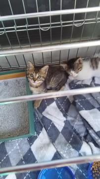 キラキラの瞳が愛くる女の子です。