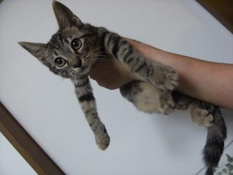 元気いっぱい！