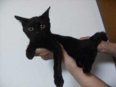 元気いっぱい！