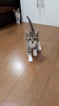 真ん丸元気な男の子