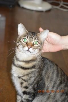 人好きな性格のいい子