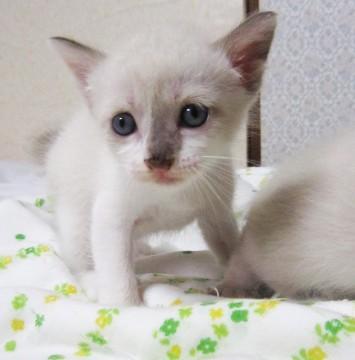 生まれてもうすぐ１ヶ月