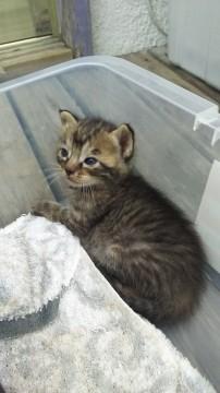 ８月１３日生まれの兄弟たちです