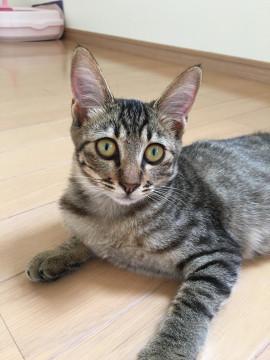 大人になっても小柄だと思います！