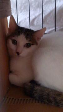 おとなしくてお利口なおにいちゃん