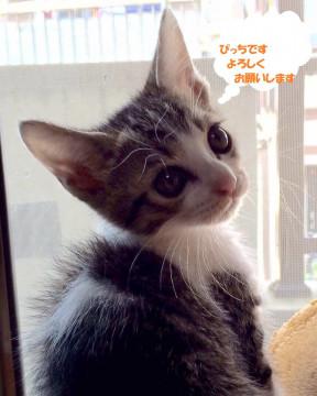 一緒にいると元気を貰える男の子。