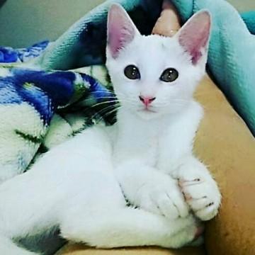 とっても可愛い甘えんぼうさんです。