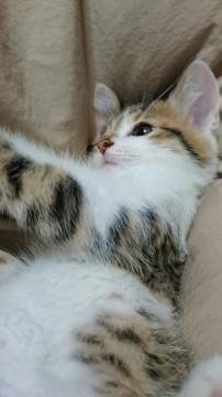 ２ヶ月の赤ちゃん