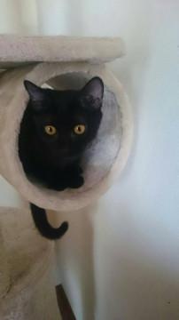 キラキラの瞳が愛くるしい女の子です。