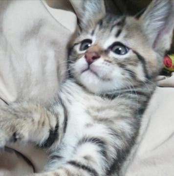 ２ヶ月の赤ちゃん