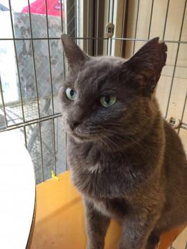 落ち着いた美人さん　