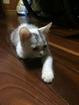 ちょっと困った顔の可愛子ちゃん